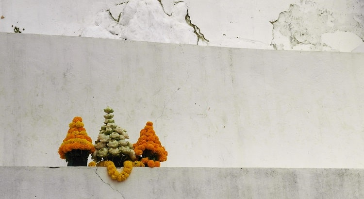 Marigold flowers at Wat Tham Phousi temple Luang Prabang