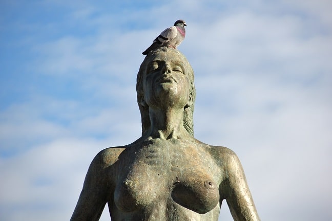 Eternal youth - woman statue with bird on top of the head. Prospects of medical tourism and integrative medicine.