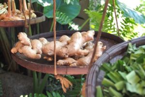 Herbs in Fah Lanna Spa