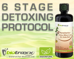 Biotraxx 6 stage detox protocol